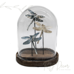Escultura de Libélula - redoma de vidro
