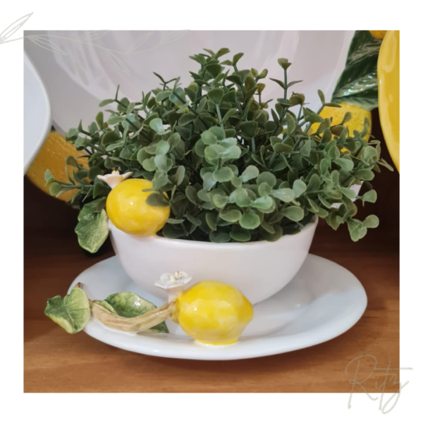 Bowl com prato de Limão - Zanatta Casa - Imagem 5